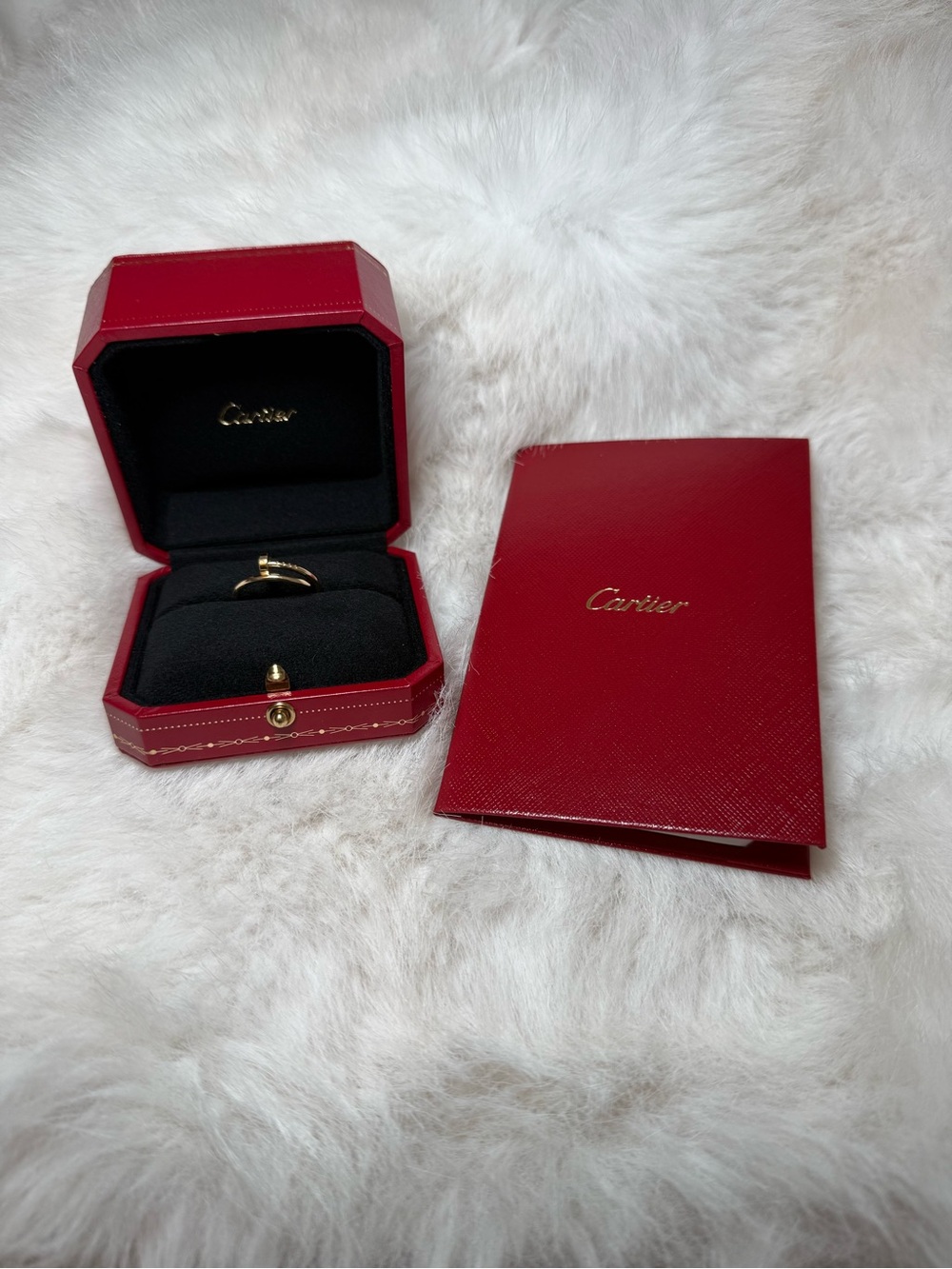 Cartier Juste en clou